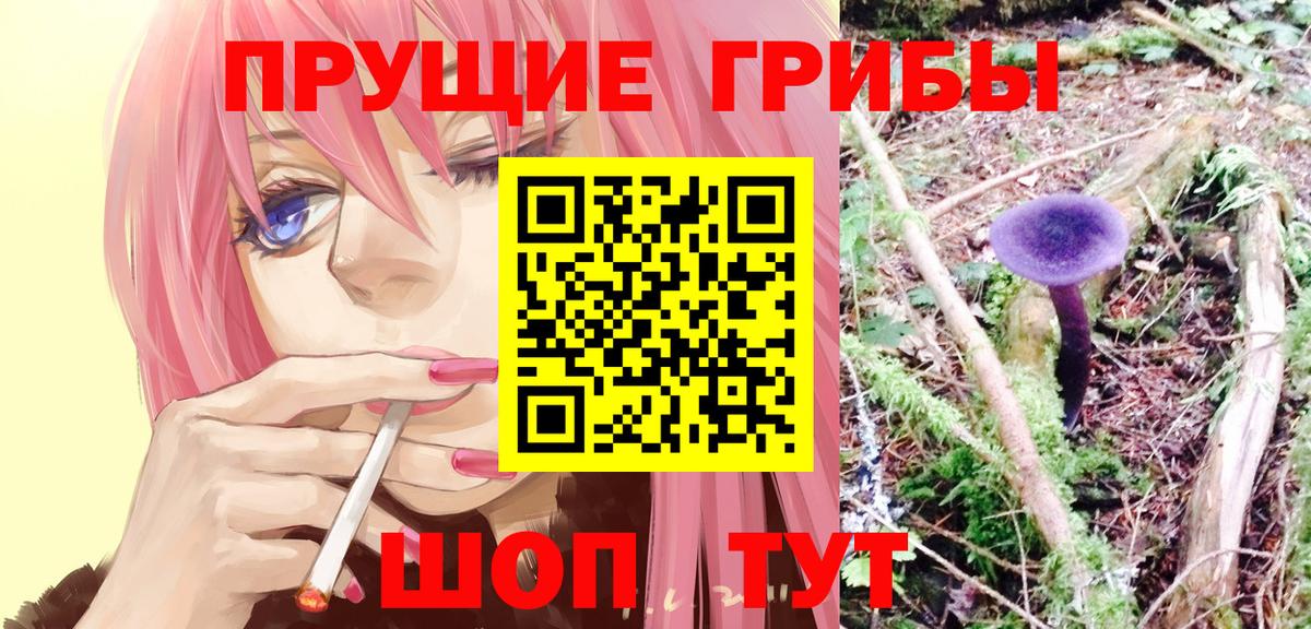 Псилоцибиновые грибы Psilocybe Ревда