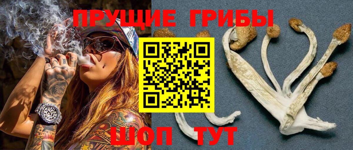 Ревда  Галлюциногенные грибы прущие грибы  Вход с VPN 